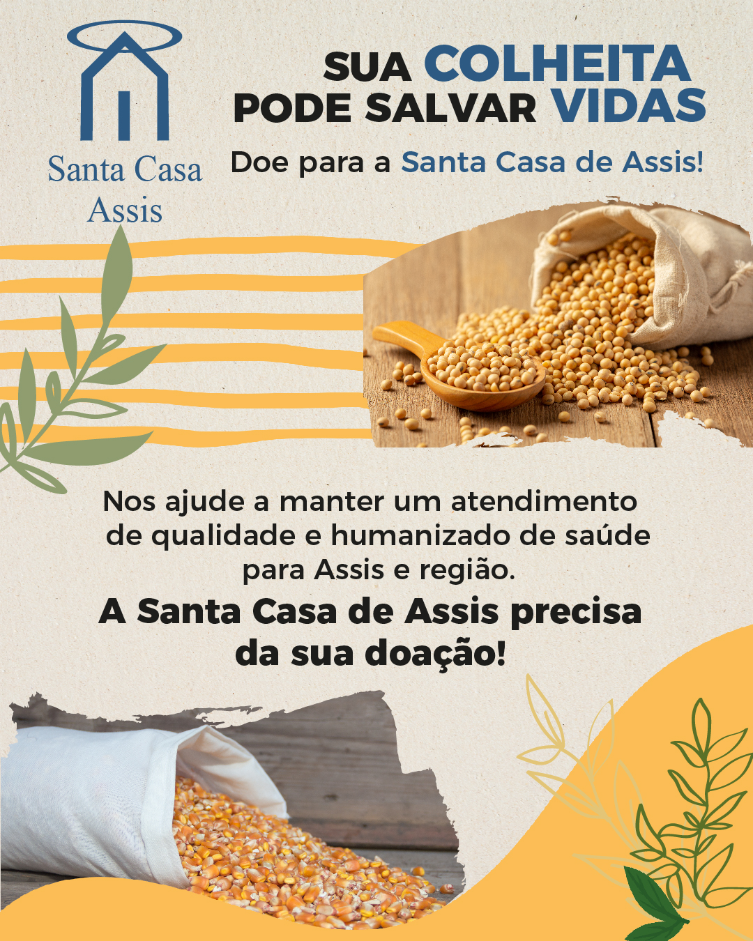 Campanha de Doação de Grãos: sua colheita pode salvar vidas!
